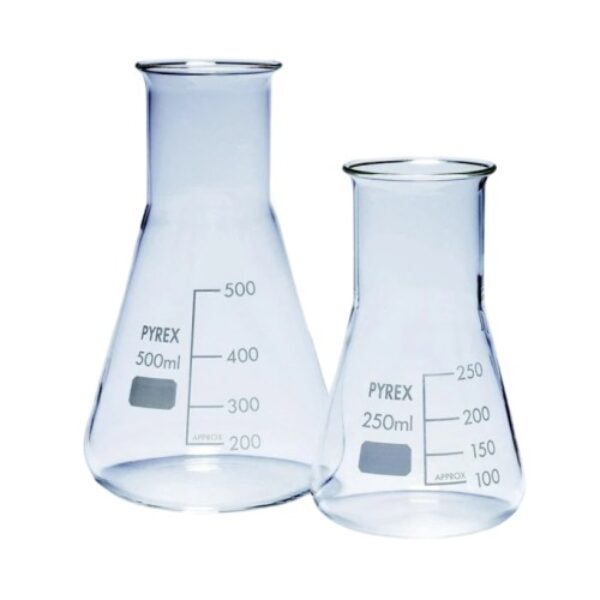 Erlenmeyer Flask
