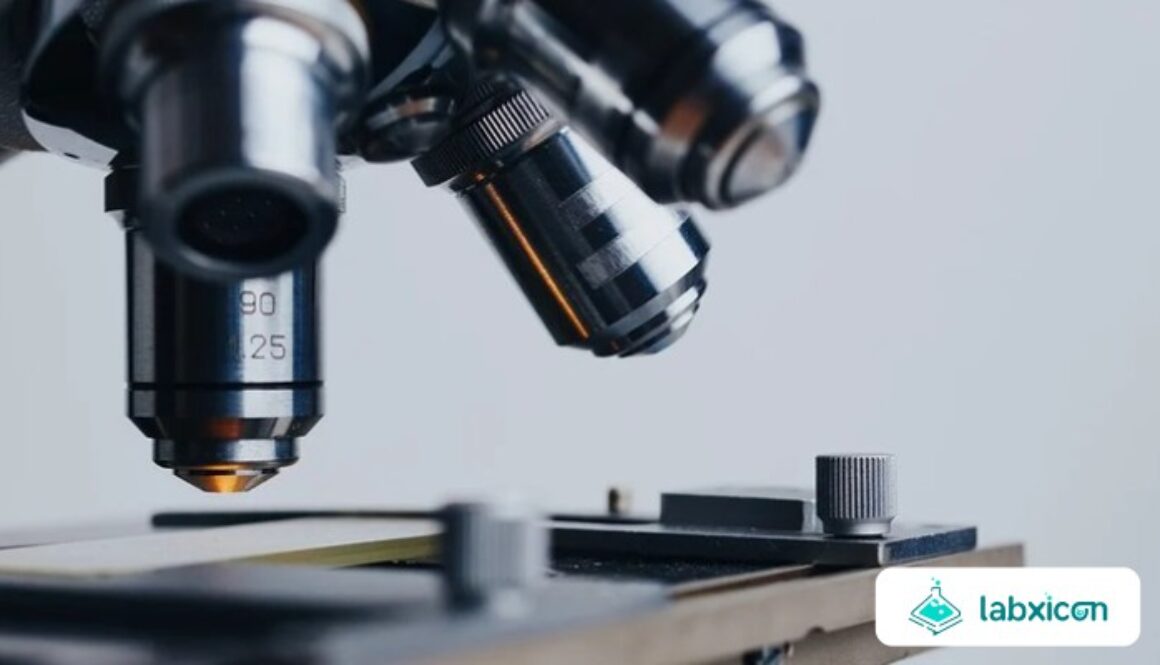 Peran Akademisi dalam Mengembangkan Inovasi Sains dan Teknologi Modern