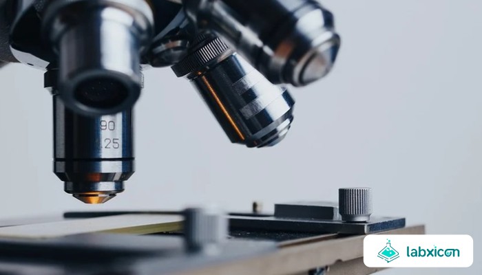 Peran Akademisi dalam Mengembangkan Inovasi Sains dan Teknologi Modern