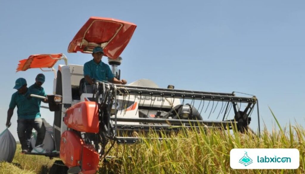 Revolusi ‘Petani Digital’ untuk Meningkatkan Hasil dan Efisiensi Sumber Daya