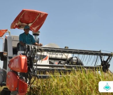 Revolusi ‘Petani Digital’ untuk Meningkatkan Hasil dan Efisiensi Sumber Daya